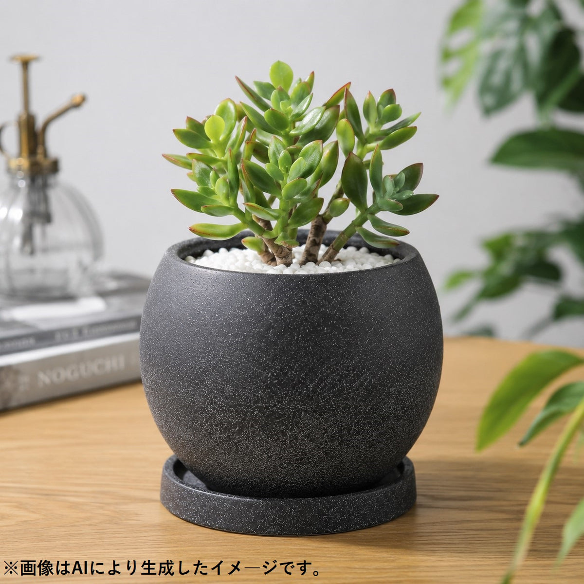 皿付鉢 ロトンド / ブラック / Φ15×H12cm