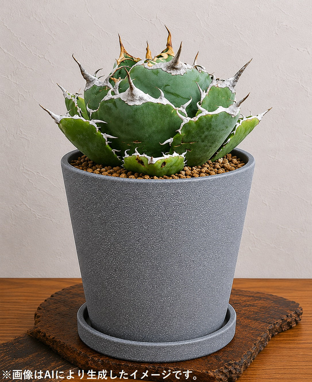 皿付鉢 コーノ / グレー / Φ12.5×H11cm
