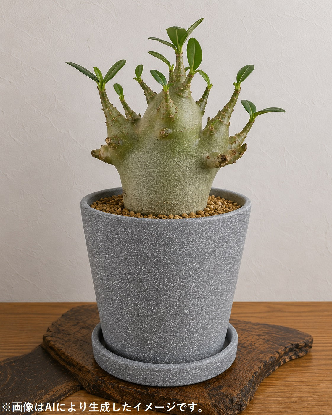 皿付鉢 コーノ / グレー / Φ14×H13.5cm