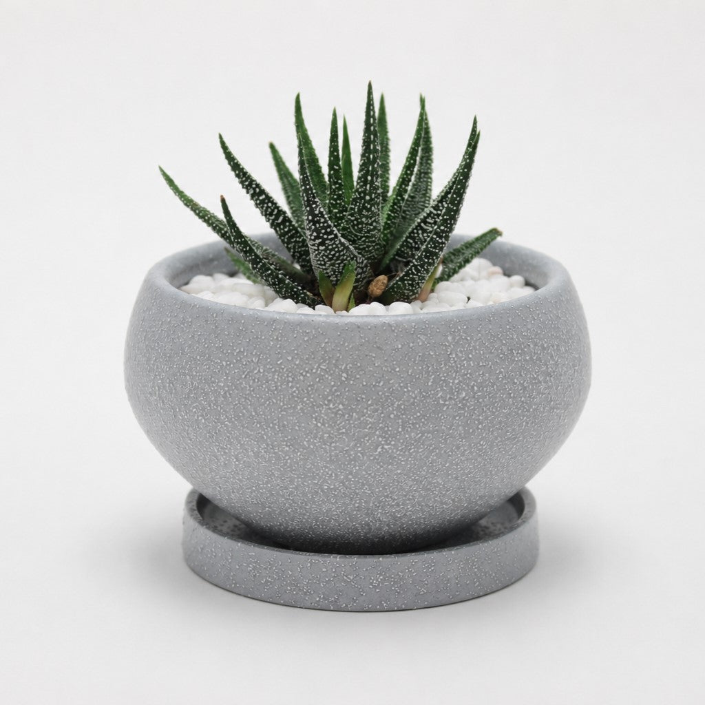 皿付鉢 アネーロ / グレー / Φ12×H6.5cm