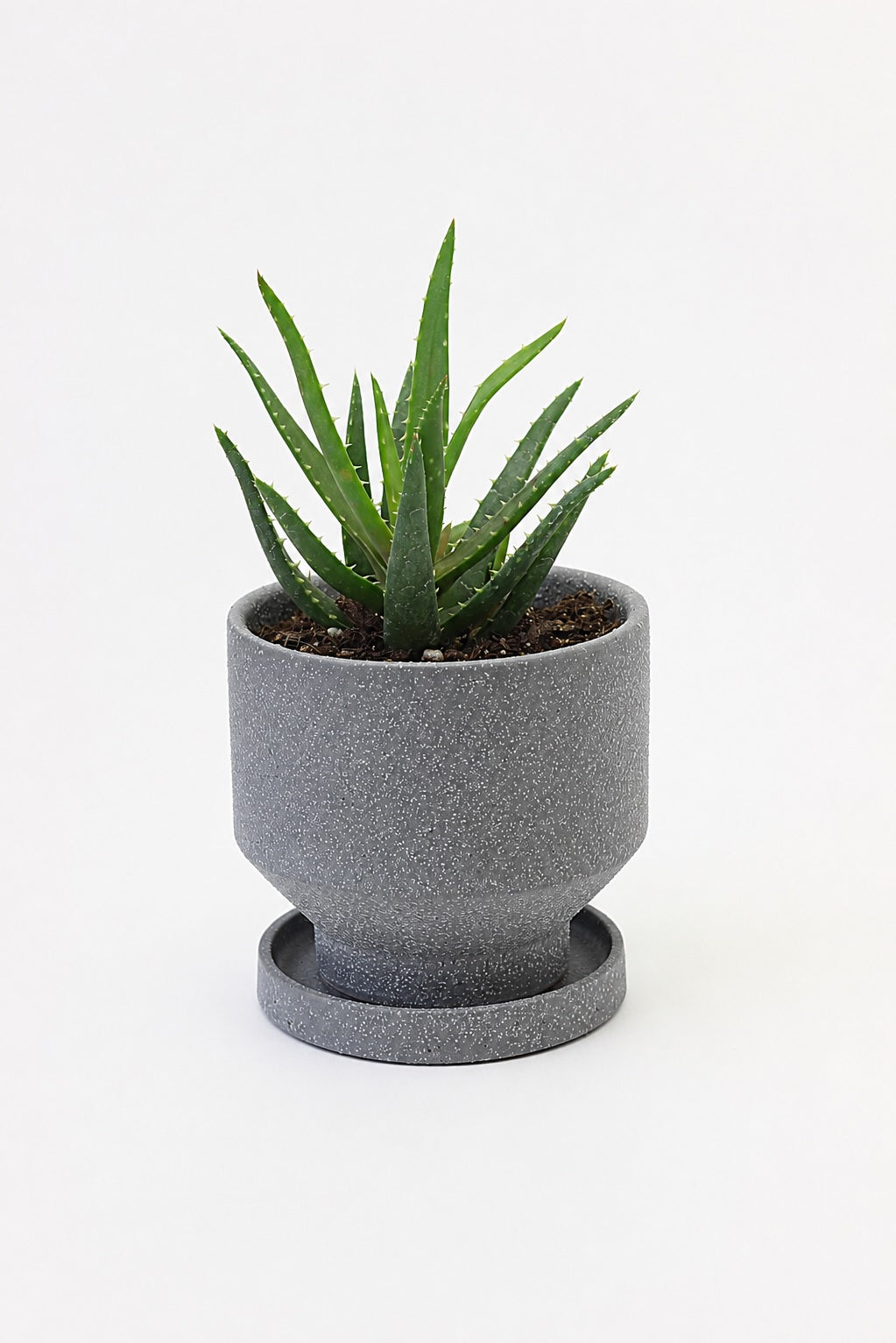 皿付鉢 トゥール / グレー / Φ10×H9.5cm