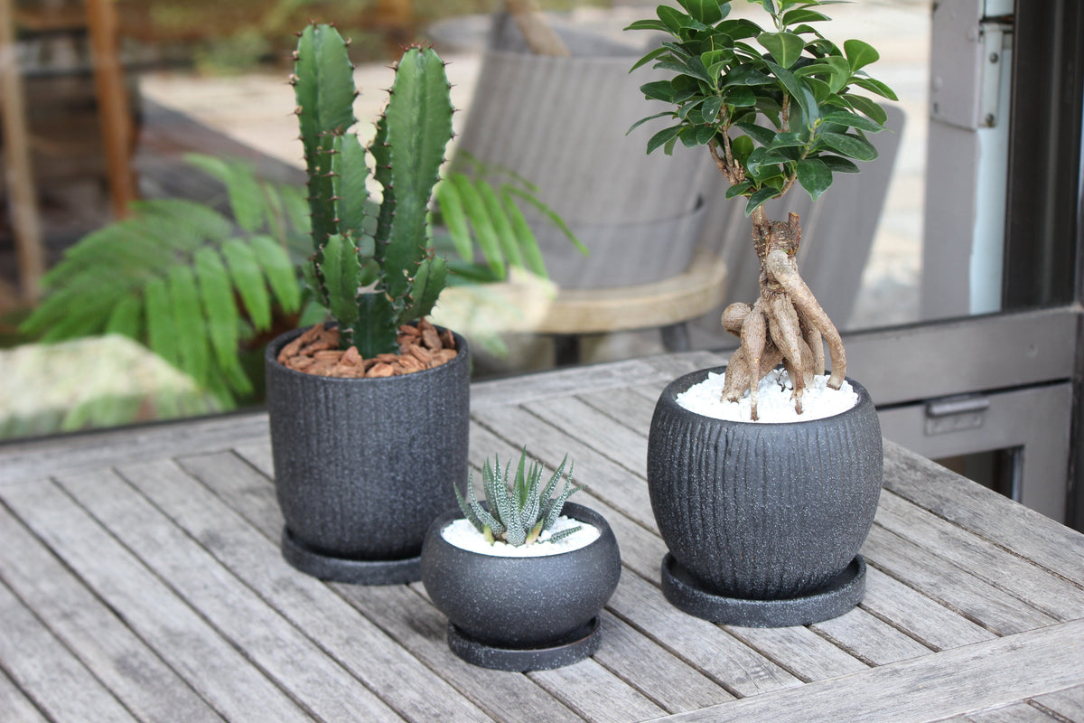植木鉢