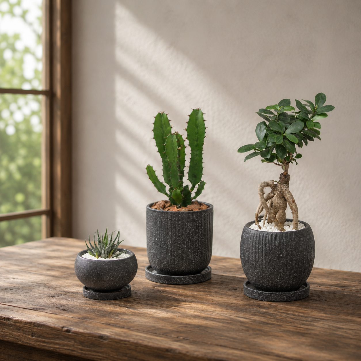 植える