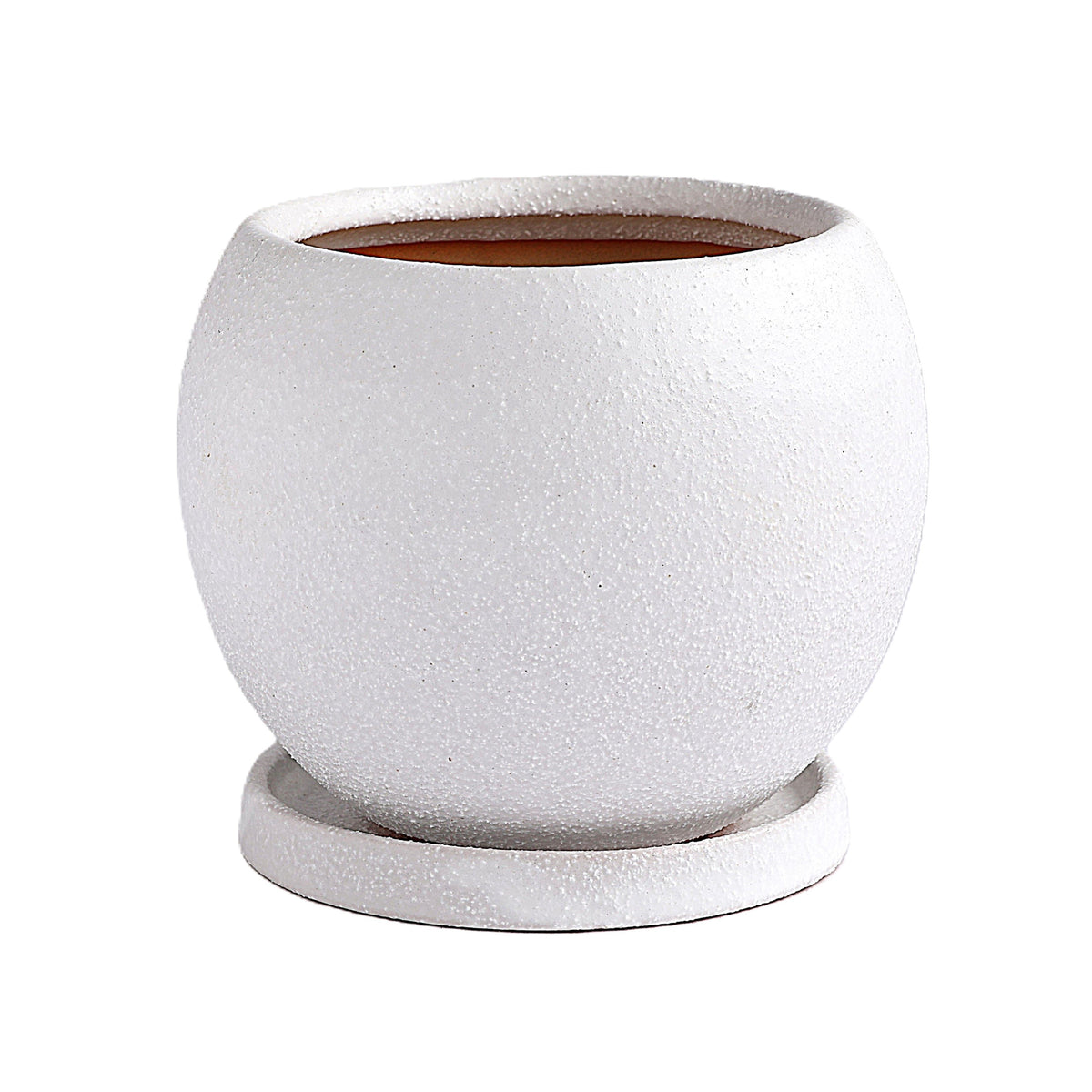 皿付鉢 ロトンド / ホワイト / Φ15×H12cm