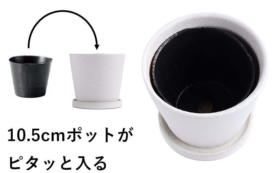 皿付鉢 コーノ / ホワイト / Φ12.5×H11cm