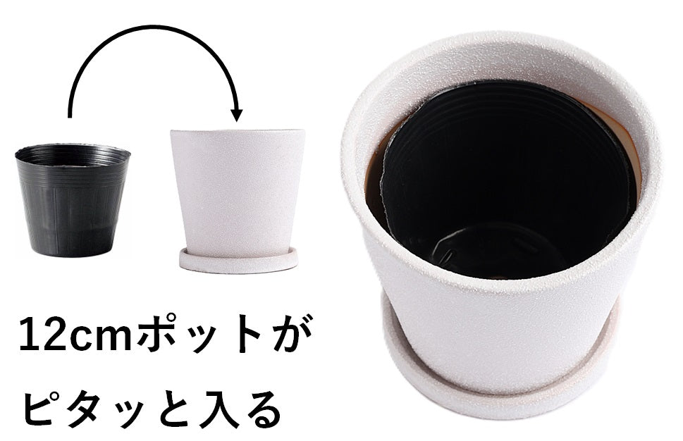 皿付鉢 コーノ / ホワイト / Φ14×H13.5cm