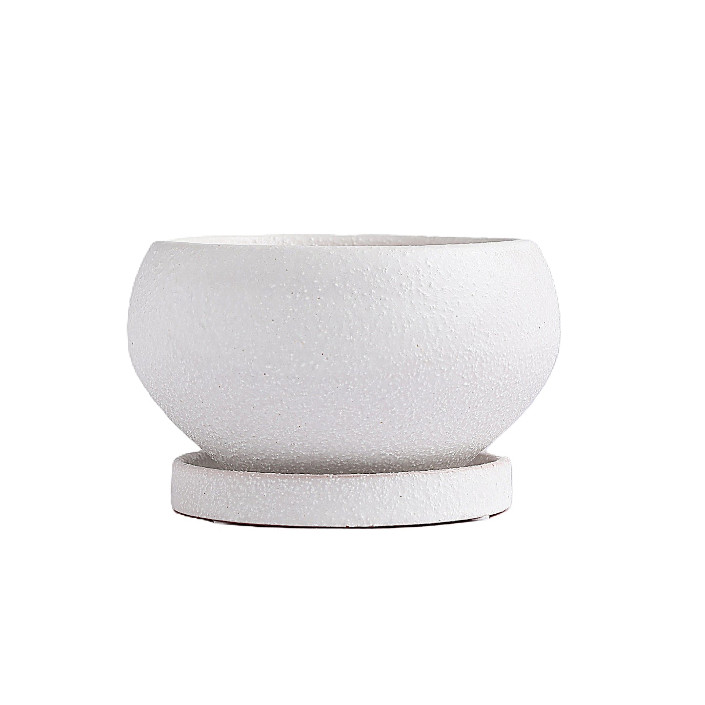 皿付鉢 アネーロ / ホワイト / Φ12×H6.5cm