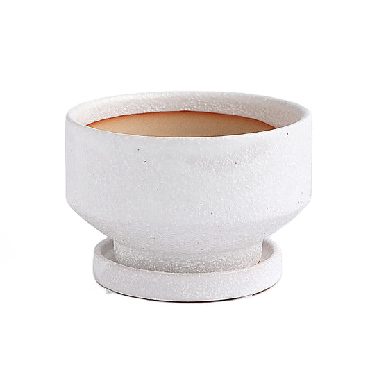 皿付鉢 プラサ / ホワイト / Φ12×H7.5cm