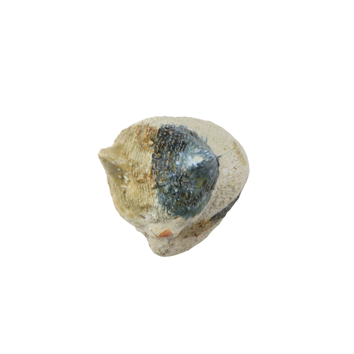 親猫(三毛) / W9×D10×H15cm