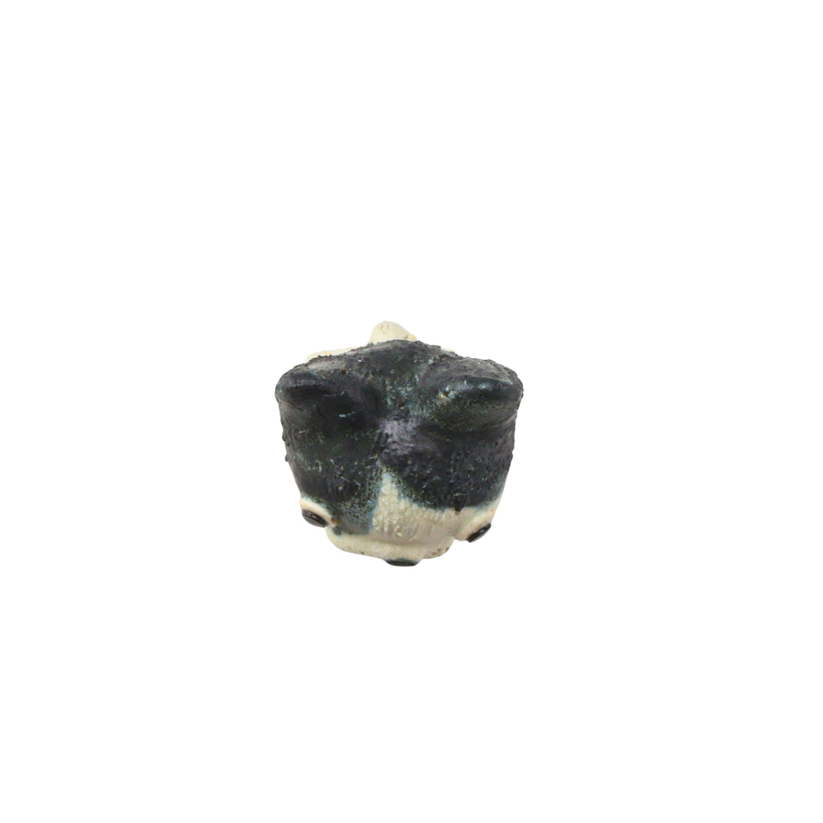 荒土フレンチドッグ / W5×D6×H8cm