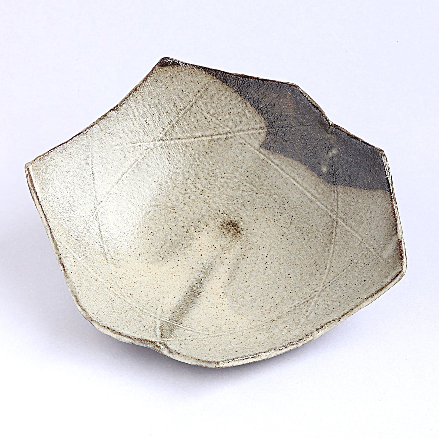 大鉢　雲海 / W25×D22×H5cm